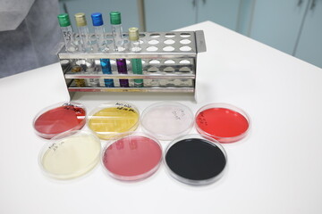 laboratuvar test seti