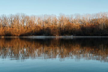 Golden light illuminates a forest of bare trees by the river during a peaceful winter evening.