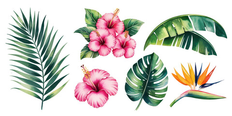 Tropical Watercolor Collection:  A vibrant and exotic collection of watercolor illustrations featuring hibiscus flowers, palm leaves, monstera leaves, and a bird of paradise.