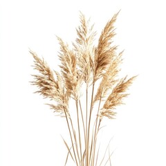 Fototapeta premium A single gold mesh flower on an isolated white background