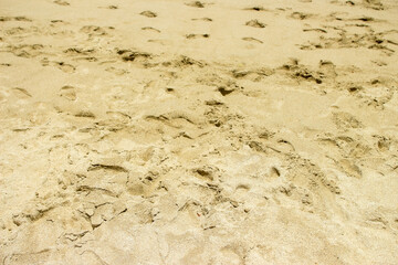 white beach sand texture background, footprints in the sand