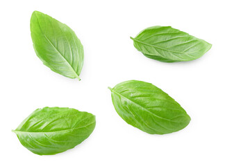 Basil leaf isolated on white background. Macro. clipping path