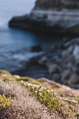 view of the coast of island of Lampedusa in Sicily