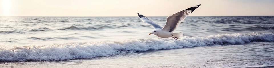 Obraz premium Seagull flying over cresting wave at sunset