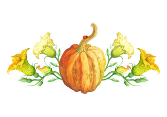 Watercolor illustration with orange pumpkin and flowers on white background. Bright illustration is perfect for menu, autumn and summer design, textiles and invitations.