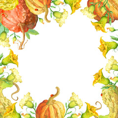 Beautiful frame of orange pumpkins and pumpkin flowers painted in watercolor. Bright template is perfect for menu, for autumn and summer design, textiles and invitations.