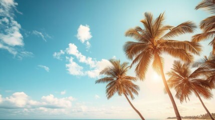 Fototapeta premium Blue Sky and Palm Trees View from Below on Vintage Tropical Beach - Summer Background Travel Concept.