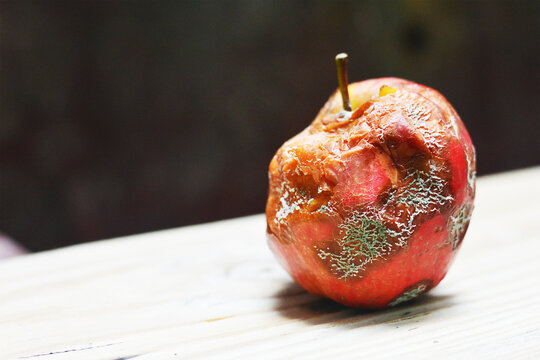 Rotten red apple on the wooden table.