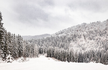 Winter landscape in the mountains with snow-covered trees.