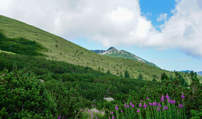 View of the famous and colourful Mount Desilitsa in the Pirin Mountains, Bulgaria.