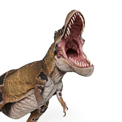 Fototapeta premium tyrannosaurus mcraeensis is angry and hungry in white background in cool view