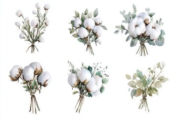 set of watercolor illustrations of boutonnieres made of cotton flowers and eucalyptus greenery on a white background, for printing on wedding invitations, fabric, etc.