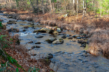 willard brook on a novembers day