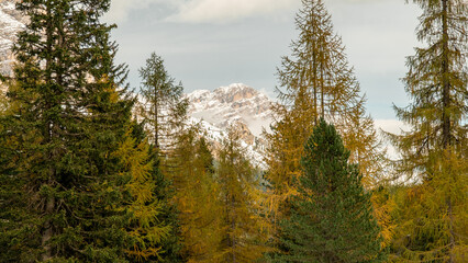 Snow-Covered Ground Meets Autumn’s Warm Hues in the Dolomites