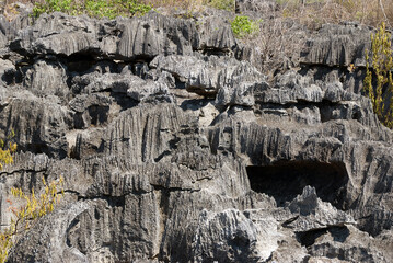 Parc national des Tsingy du massif du Bemaraha, Patrimoine mondial de l'UNESCO, Madagascar