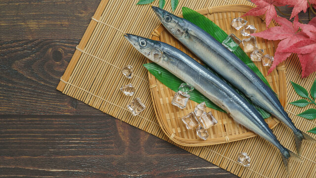 日本の秋の味覚｜生のサンマ・pacific saury