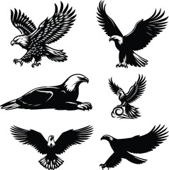 Fototapeta premium Eagle silhouette vector white background eagle illustration