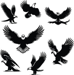 Eagle silhouette vector white background eagle illustration