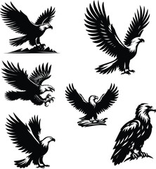 Eagle silhouette vector white background eagle illustration