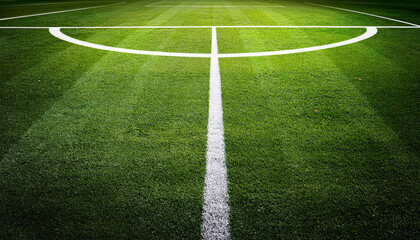 Obraz premium textured soccer game field - center, midfield