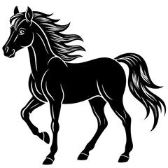 Horse silhouette on White background 