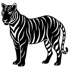 Tiger silhouette on White background 