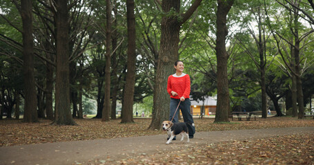 Park, woman and smile with walking dog for exercise, health and bonding in Japan. Outdoor, forest...