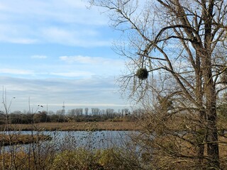 Serene winter landscape with bare trees and a river.