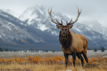 red deer against the backdrop of a mountain landscape,.     