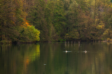 adda river during the autumnal season, lecco