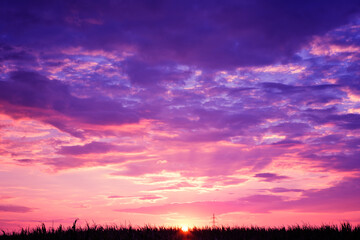 Fototapeta premium Stunning Purple and Pink Sunset Over Field 