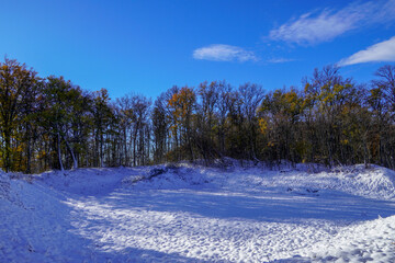 White snow on trees in winter. Snow-covered branches of trees and shrubs after a snowfall. Nature in the forest in winter.