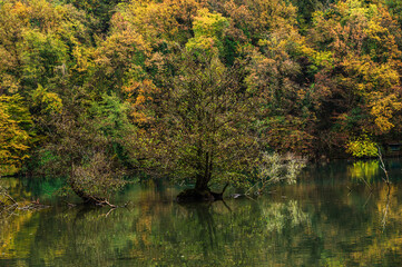 adda river during the autumnal season, lecco