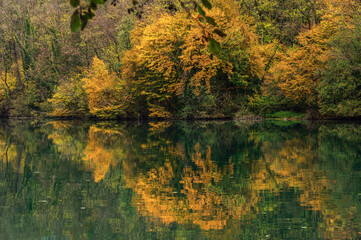 adda river during the autumnal season, lecco
