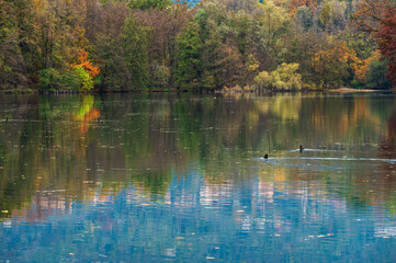 adda river during the autumnal season, lecco