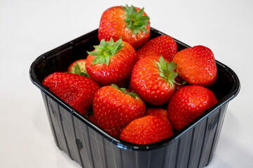 New spring harvest, one box of ripe Dutch red sweet strawberry on farmer market in the Netherlands
