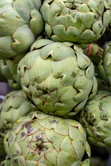 Obraz premium Fresh ripe green organic artichokes heads on local farmers market in Dordogne, France