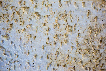 Textured Muddy Footprints on Path