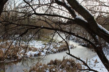 a small river in a Ukrainian village