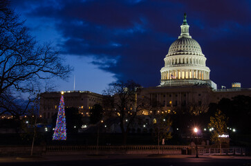 US Capitol Building and Christmas tree at night - Washington D.C. United States