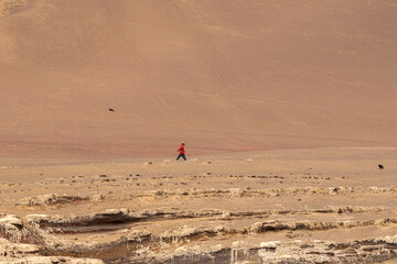 Obraz premium Paracas y Huacachina