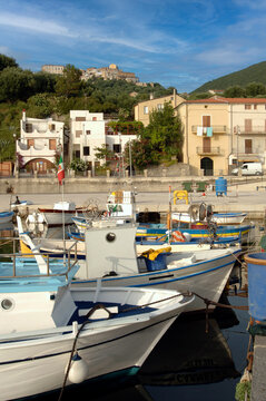 Alici di Menaica or Menaica&rsquo;s anchovies are anchovies that are washed on board the fishing boat and whose heads are removed to clean them of blood and then put in salt in Pisciotta Cilento Campania IT