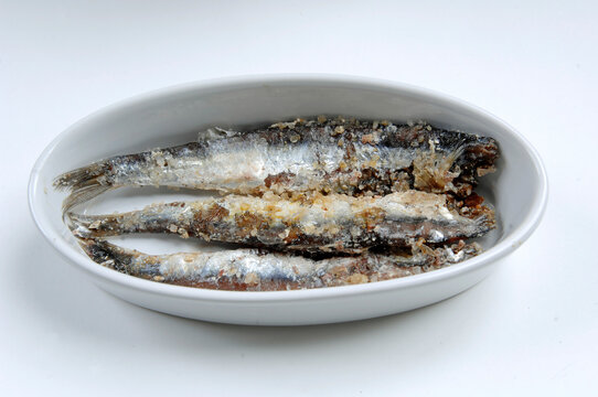 Alici di Menaica or Menaica&rsquo;s anchovies are anchovies that are washed on board the fishing boat and whose heads are removed to clean them of blood and then put in salt in Pisciotta Cilento Campania IT