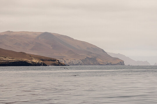 Paracas y Huacachina
