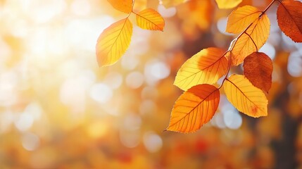 Obraz premium Beautiful Autumn Leaves Against a Soft Golden Background Showcasing the Warmth and Vibrancy of Fall in Nature's Scenic Landscape