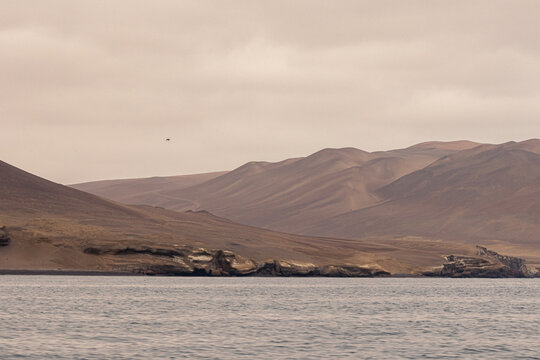 Paracas y Huacachina