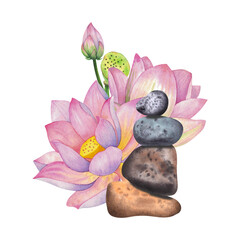 Pink lotus flowers with bud, box and pyramid of stones. Isolated on background Watercolor illustration. Composition For design, decor and printing, souvenirs and logo, typography