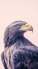 This stunning image captures the regal beauty of an eagle, showcasing its sharp features and powerful presence. A true symbol of strength and freedom in nature.