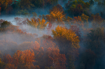 autumnal foggy morning sunrises over the Adda river, Lecco, Italy	
