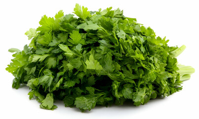 Fototapeta premium Fresh bunch of vibrant green parsley, isolated on a white background. Perfect for culinary or healthy lifestyle concepts.